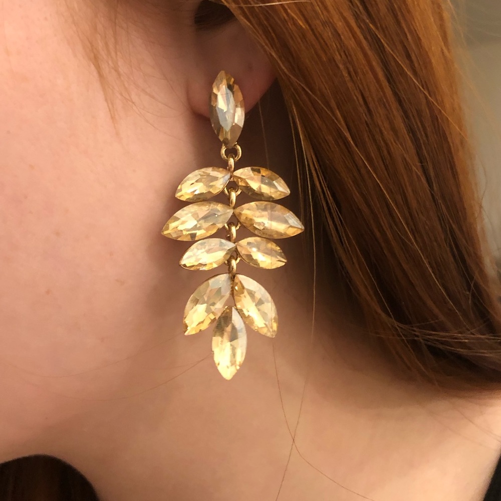 Gorgeous Jewel Earrings